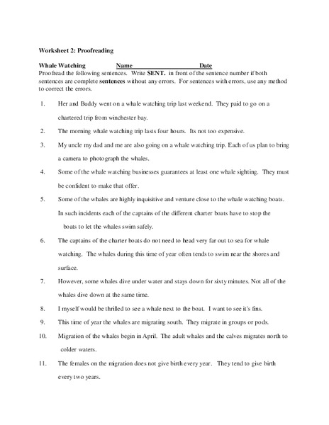Proofreading Sentences Worksheet
