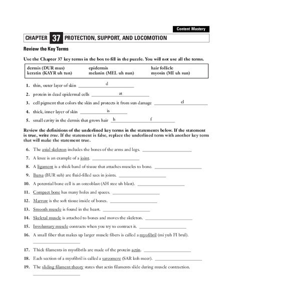 Protection, Support, and Locomotion Worksheet