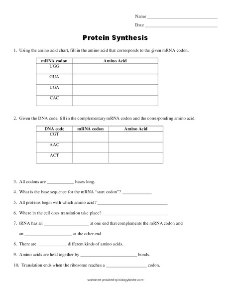 Protein Synthesis Worksheet