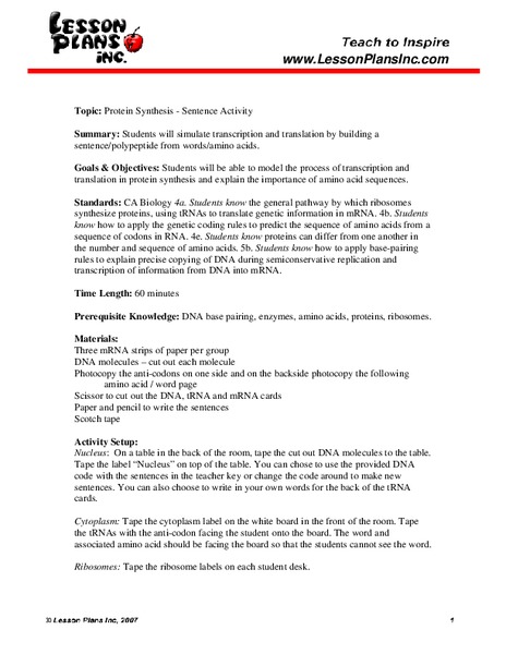 Protein Synthesis Worksheet