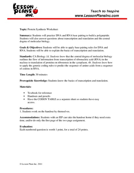 Protein Synthesis Worksheet Worksheet