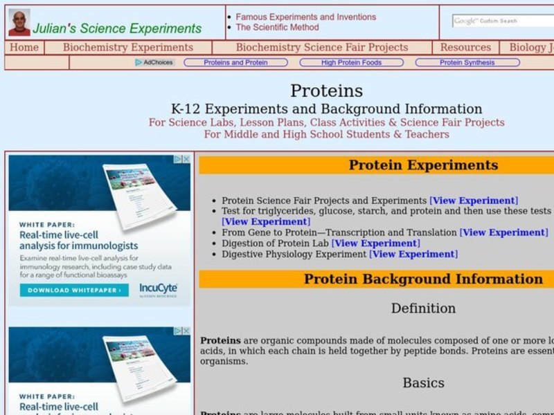 Proteins Lesson Plan