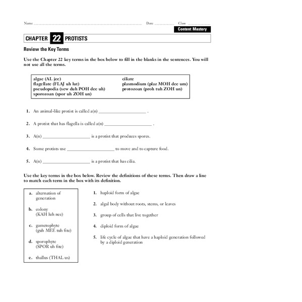 Protists Worksheet