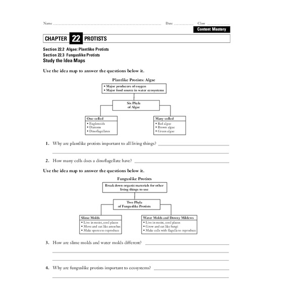 Protists Worksheet