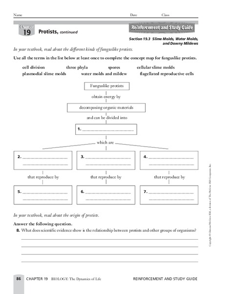 Protists Worksheet