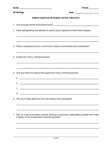 Protists Worksheet