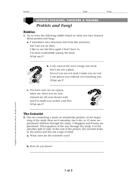 Protists and Fungi Worksheet