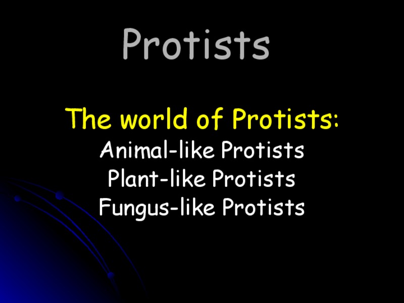 Protists PPT