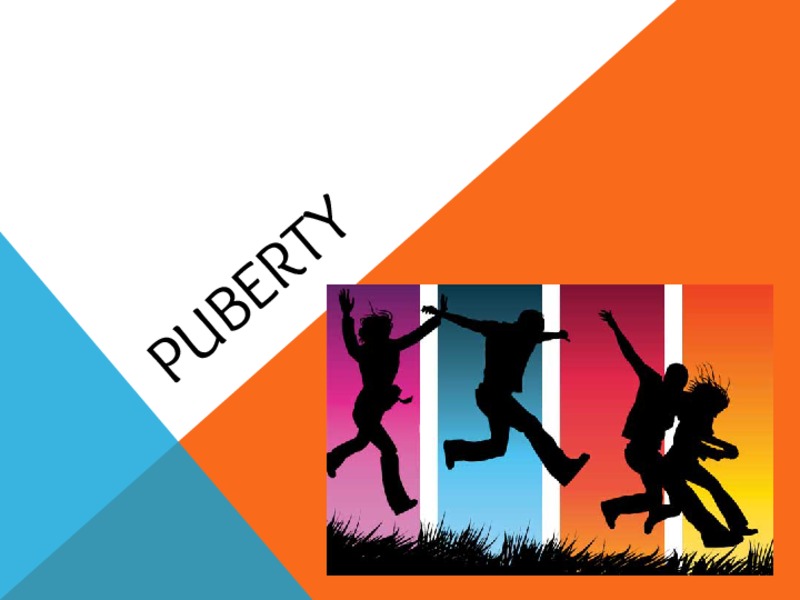 Puberty PPT