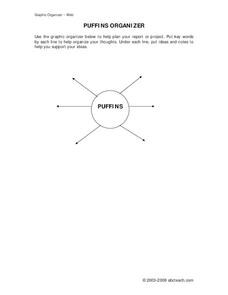 Puffins Worksheet
