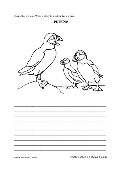 Puffins Worksheet