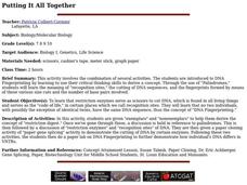 Putting It All Together Lesson Plan