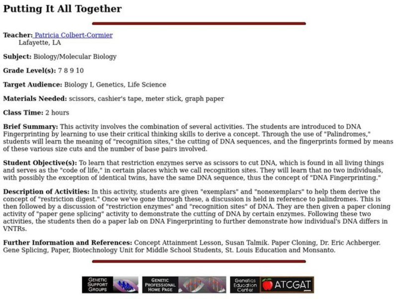 Putting It All Together Lesson Plan