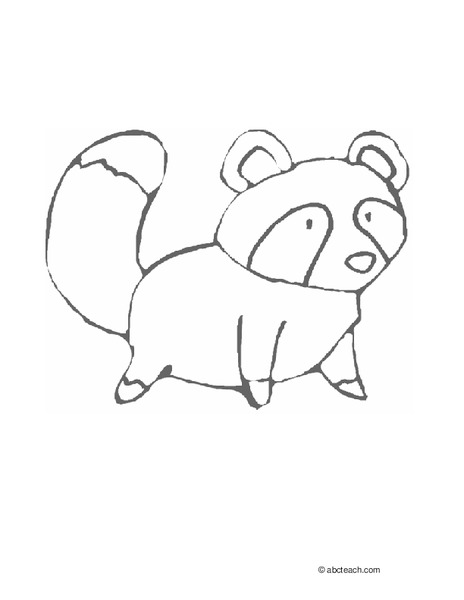 Raccoon Coloring Page Worksheet
