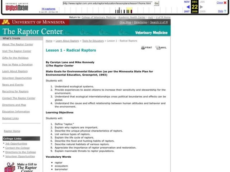 Radical Raptors Lesson Plan