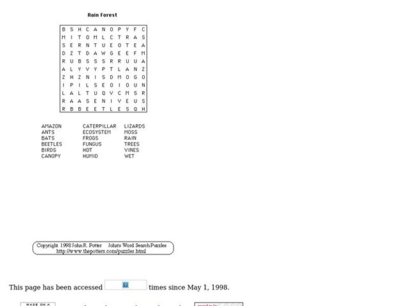 Rain Forest Worksheet
