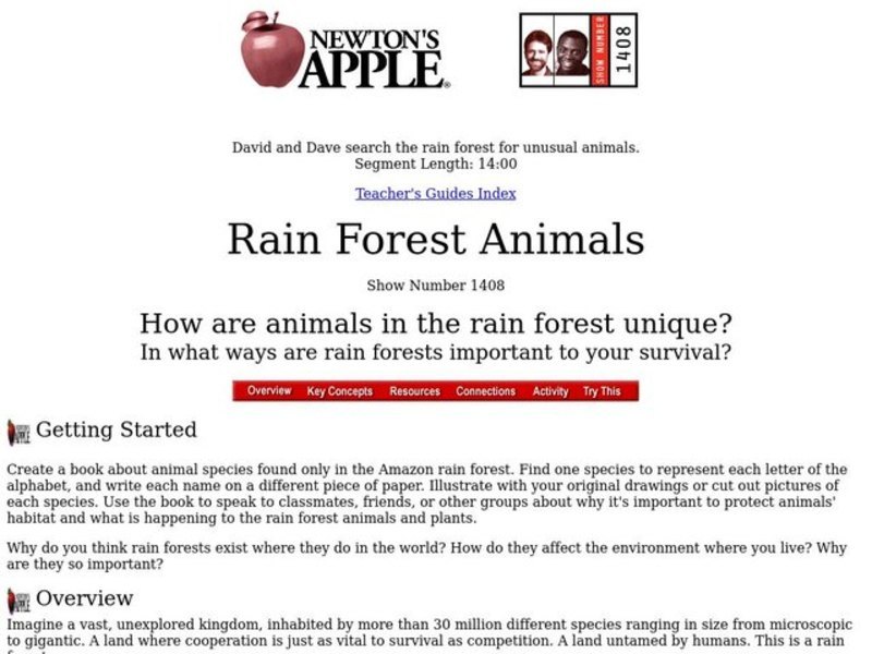 Rain Forest Animals Lesson Plan