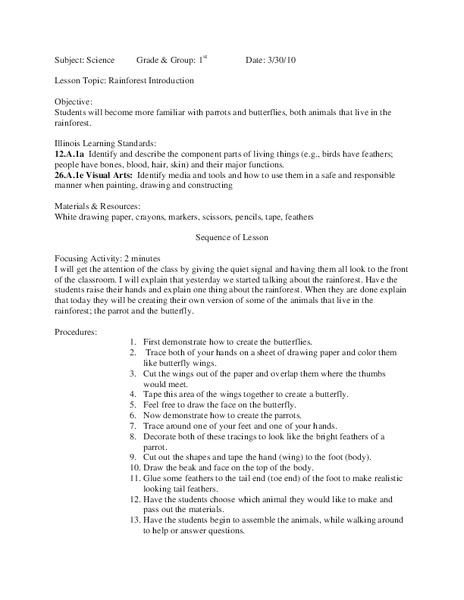 Rainforest Introduction Lesson Plan