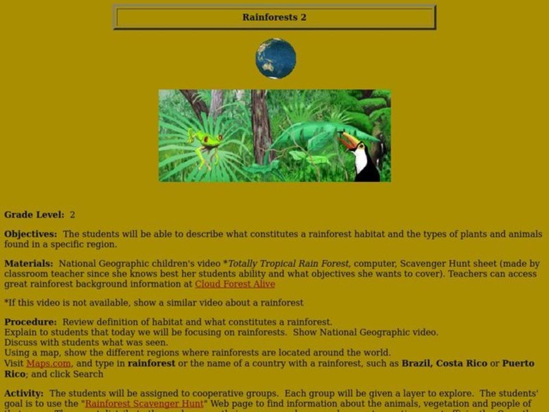Rainforests Lesson Plan