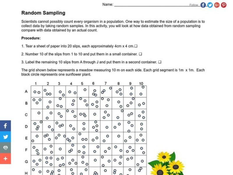Random Sampling Lesson Plan