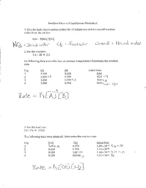 Reaction Rates and Equilibrium Worksheet Worksheet