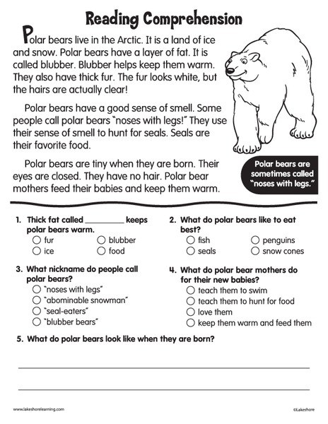 Reading Comprehension Worksheet