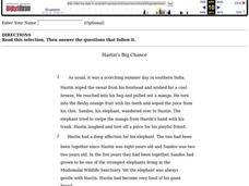 Reading Comprehension Test Lesson Plan