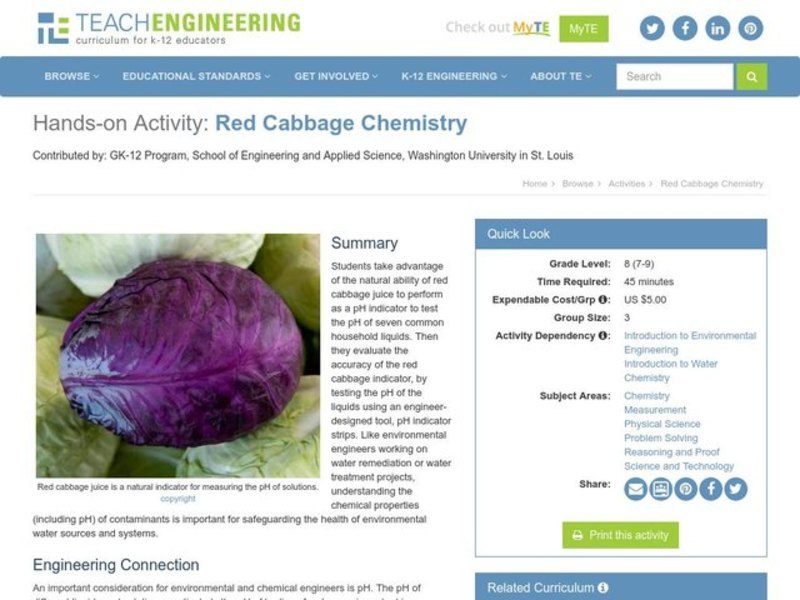 Red Cabbage Chemistry Activity