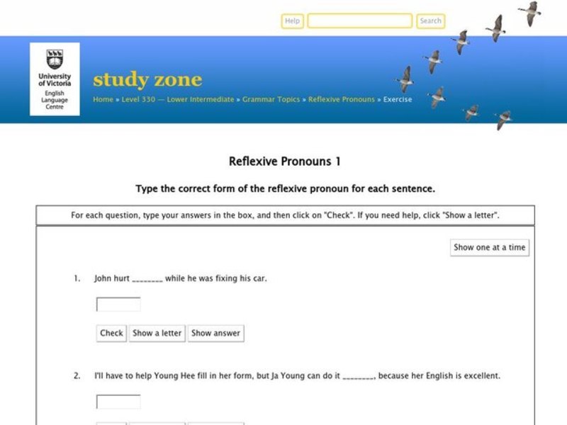 Reflexive Pronouns Interactive