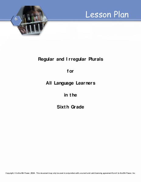 Regular And Irregular Plurals Lesson Plan