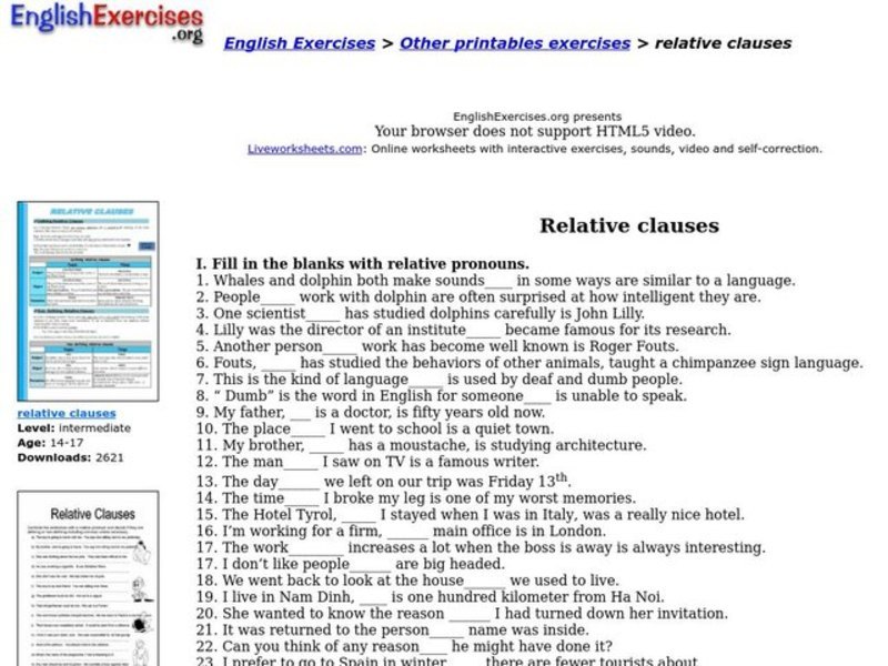 Relative Clauses Interactive