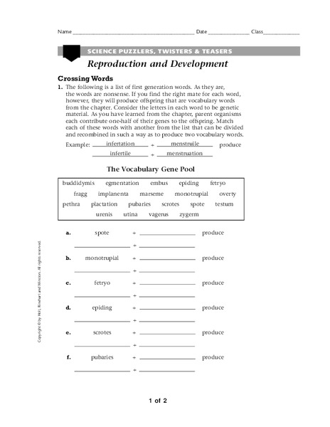 Reproduction and Development Worksheet