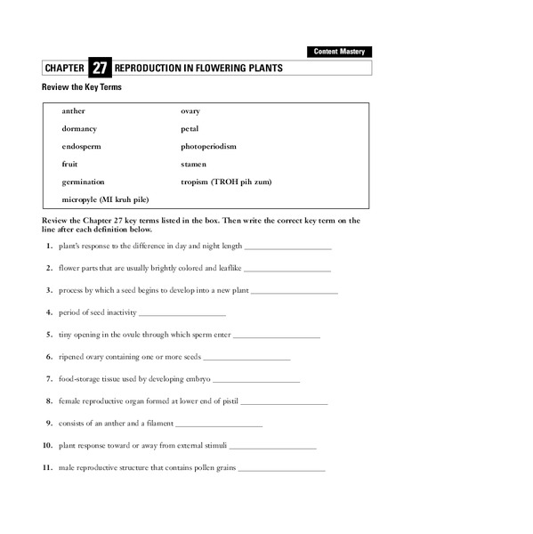 Reproduction in Flowering Plants Worksheet