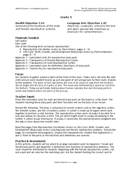 Reproductive System Lesson Plan