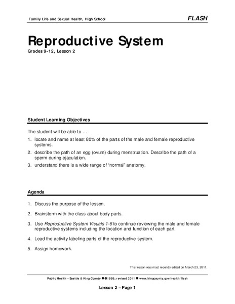 Reproductive System Lesson Plan