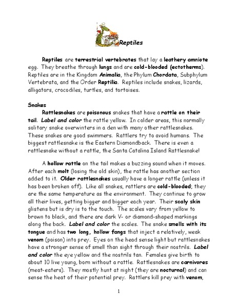 Reptiles Worksheet