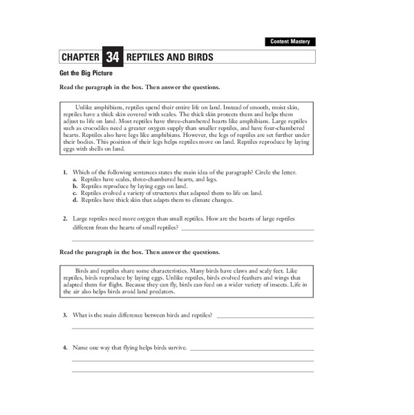 Reptiles and Birds Worksheet