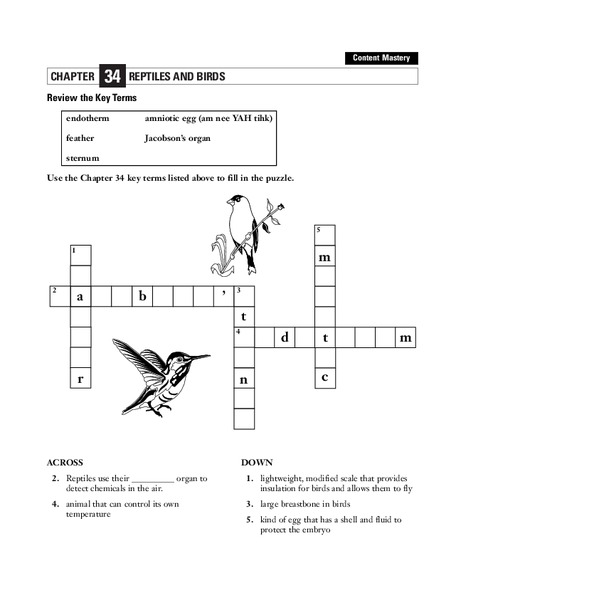 Reptiles and Birds Worksheet