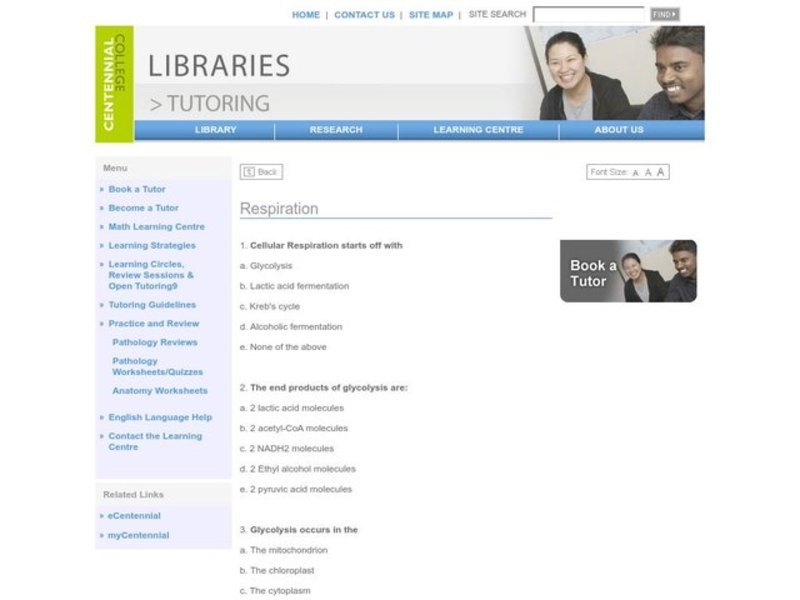 Respiration Worksheet