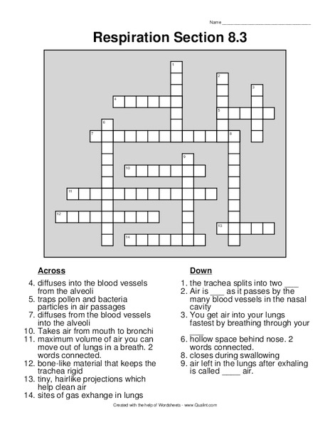 Respiration Crossword Lesson Plan