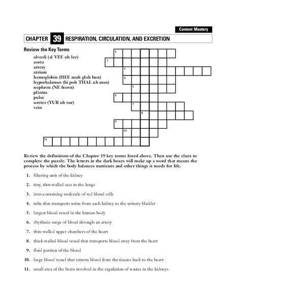 Respiration, Circulation, and Excretion Worksheet