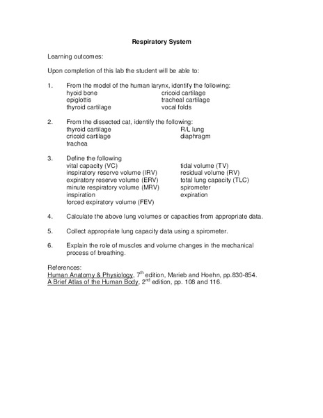 Respiratory System Lesson Plan