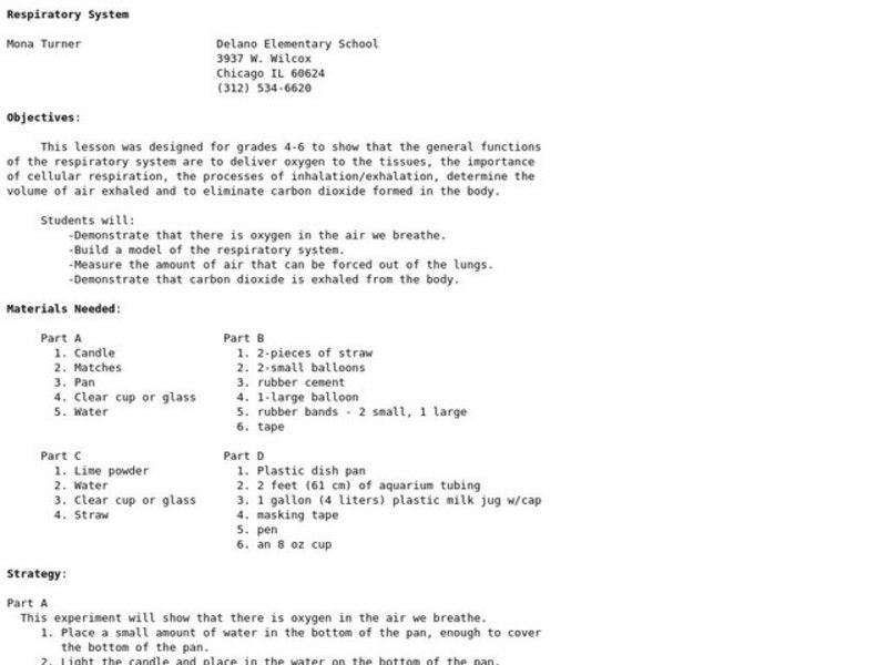 Respiratory System Lesson Plan
