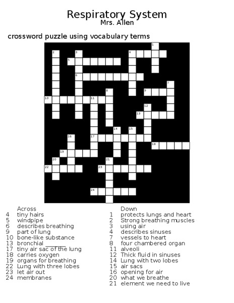 Respiratory System Crossword Worksheet