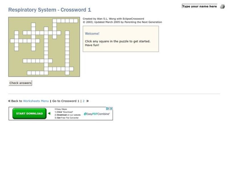 Respiratory System Crossword Interactive