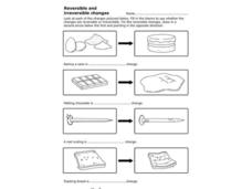 Reversible and Irreversible Changes Worksheet
