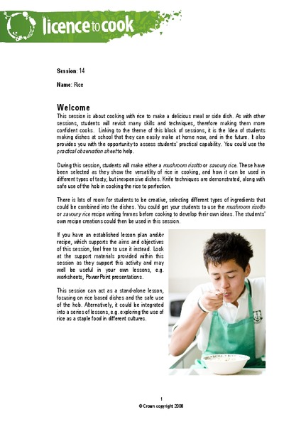 Rice Lesson Plan