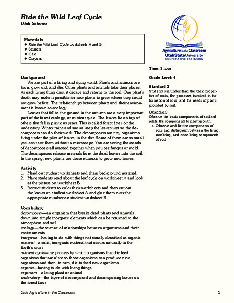 Ride the Wild Leaf Cycle Lesson Plan