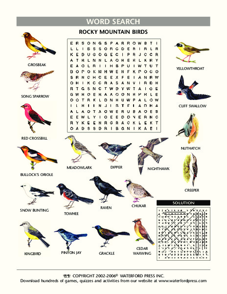 Rocky Mountain Birds Lesson Plan