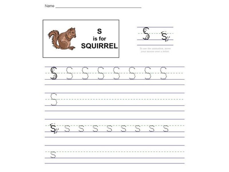 S Is For Squirrel Worksheet